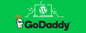 Read more about the article Navigating the Digital Realm: A Comprehensive Guide to GoDaddy Web Hosting Plus